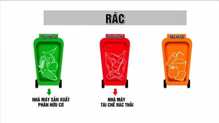 Phân loại rác: rác vô cơ là gì, rác hữu cơ là gì?