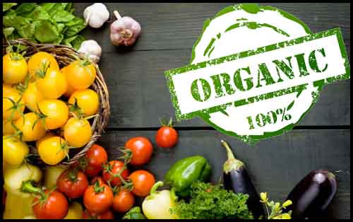 Thực phẩm organic là gì? Cách phân biệt thực phẩm organic với các loại thực phẩm khác?