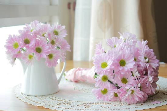 Hoa cúc là một loài hoa phổ biến